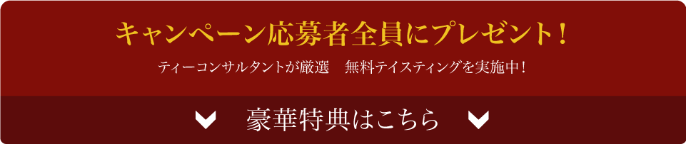 キャンペーンバナー２