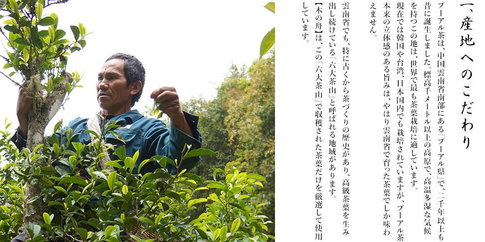 紹介１