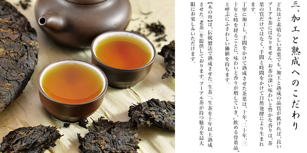紹介３
